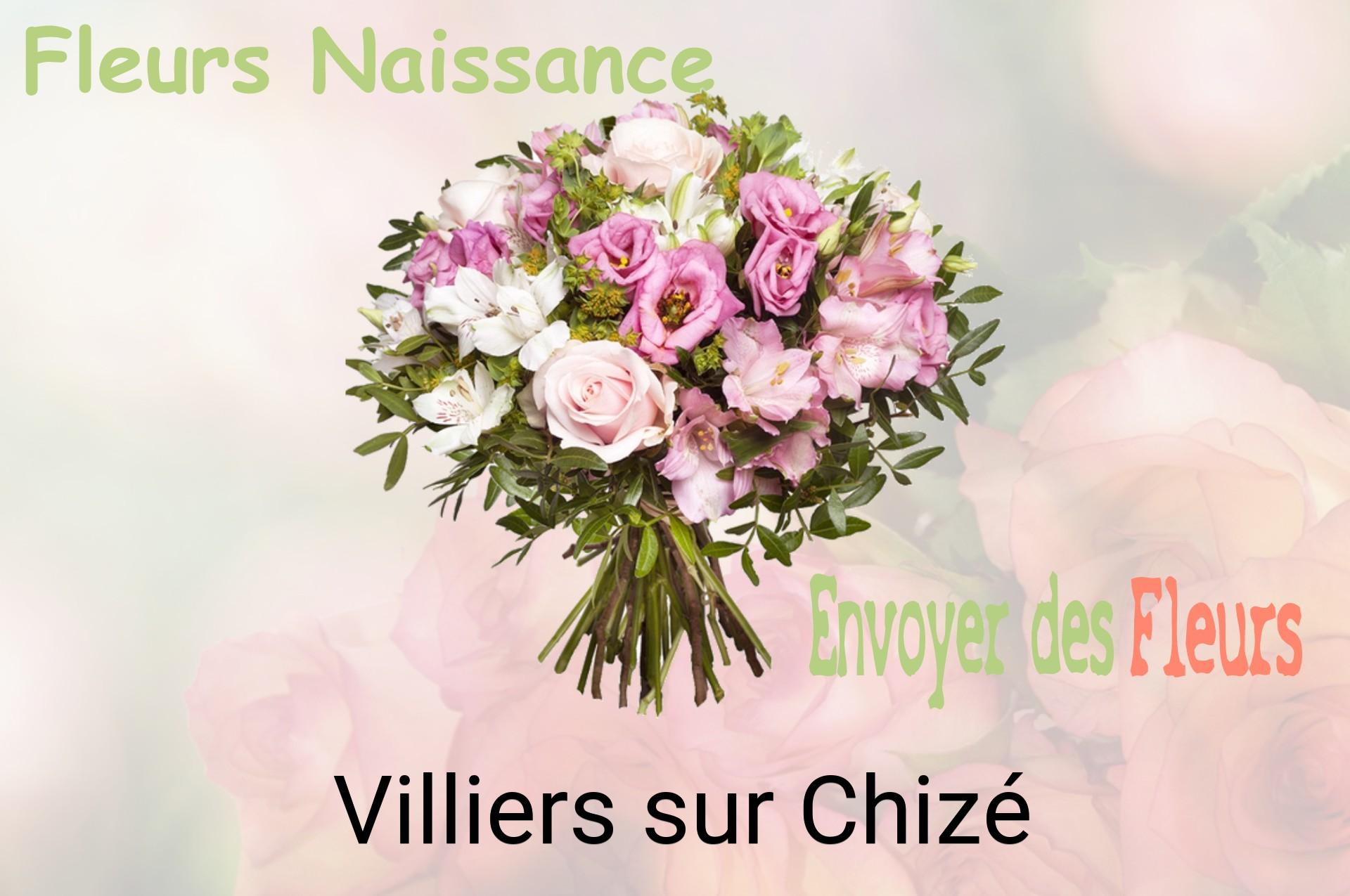 Bouquet de fleurs de naissance livré à Villiers-sur-Chizé