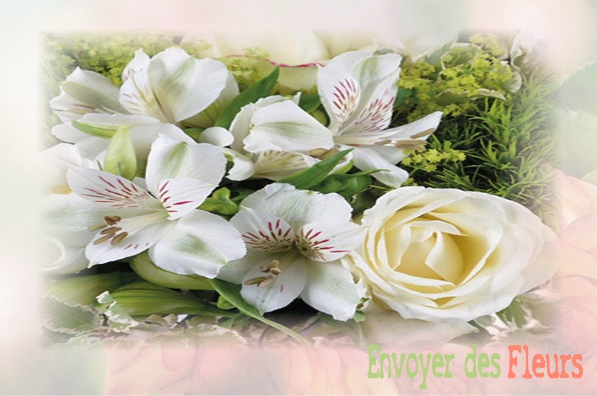 envoyer des fleurs à à VILLIERS-SUR-CHIZE